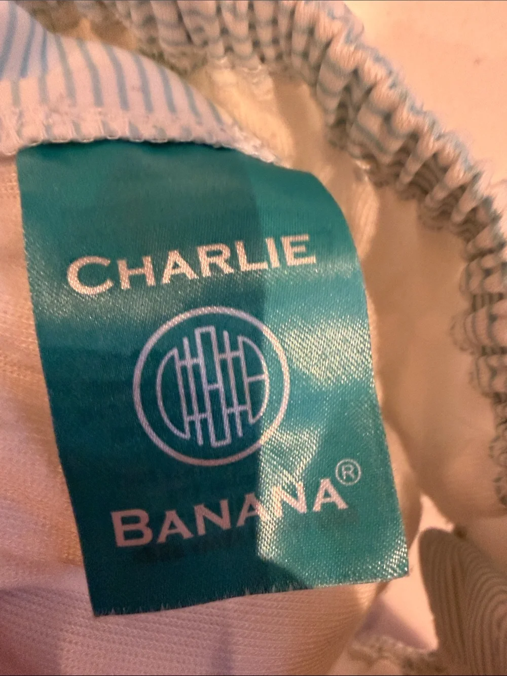 Charlie Banana Light Blue & White Striped Swim Diaper Cover